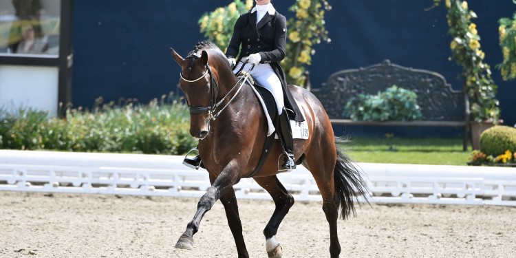 CDI Hagen – 16-21 czerwca 2015