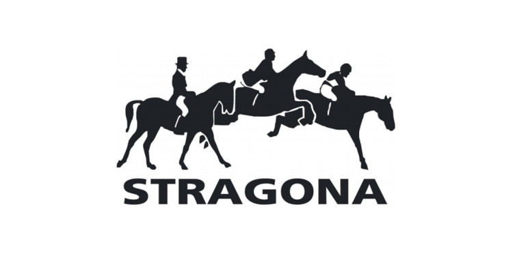 Stragona Strzegom