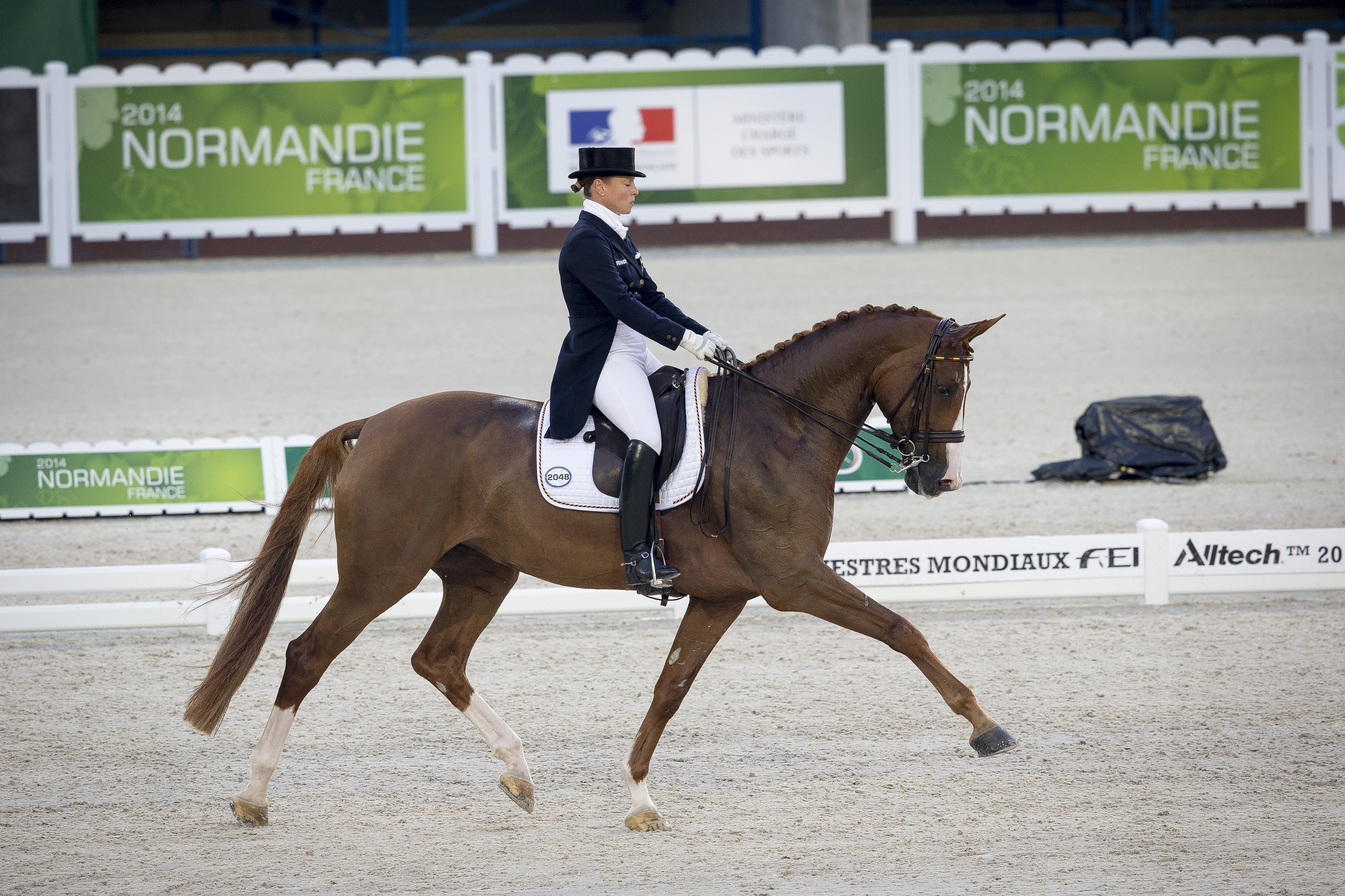 Isabell Werth, (GER), Bella Rose 2 - Grand Prix Team Competition Dressage - Alltech FEI World Equestrian Games™ 2014 - Normandy, France. © Hippo Foto Team - Leanjo de Koster 25/06/14