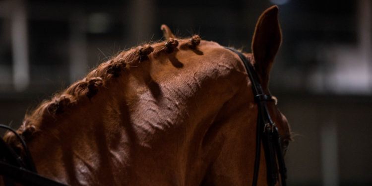 foto.: Łukasz Kowalski