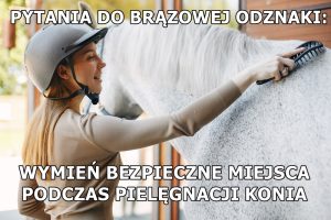 Kobieta czyści siwego konia stojąc blisko jego łopatki