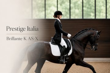 Thumbnail Prestige Italia K AS-X