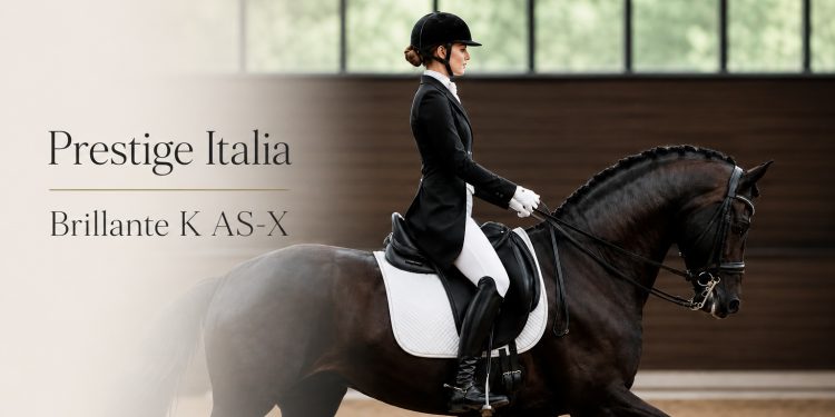 Thumbnail Prestige Italia K AS-X