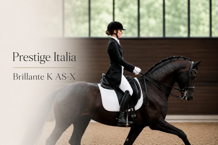Thumbnail Prestige Italia K AS-X