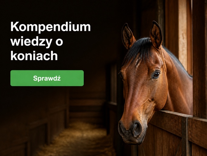Kompendium wiedzy o koniach