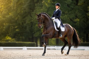 Para jeździec koń na zawodach