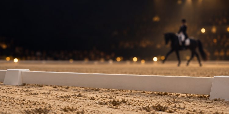 Quiet Dressage Under Golden Lights