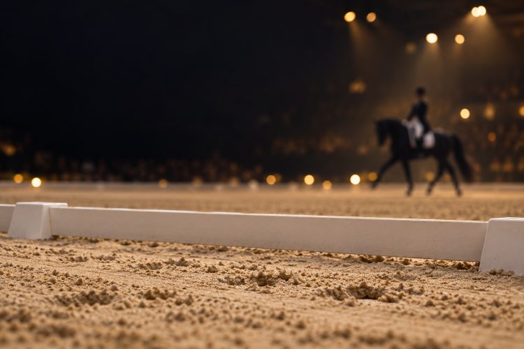 Quiet Dressage Under Golden Lights