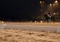 Quiet Dressage Under Golden Lights